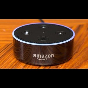 Amazon Alexa Speaker: brand is “Amazon”